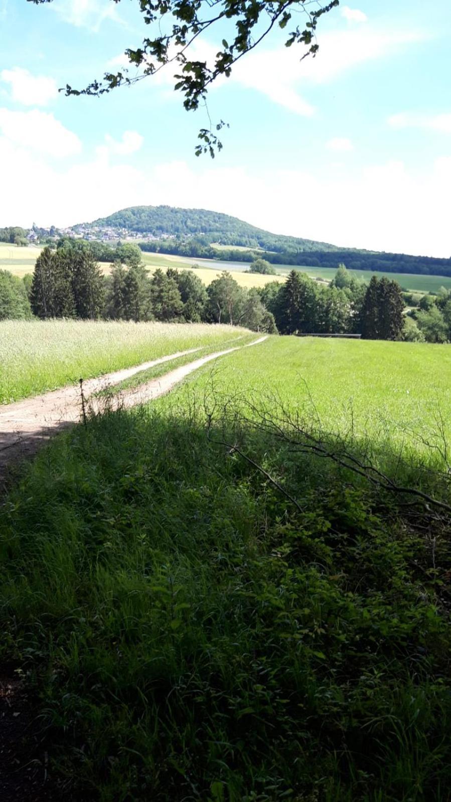 Gasthaus Zur Burgschaenke Aremberg Extérieur photo
